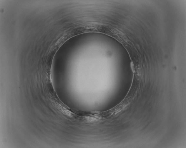 X0000074310916200609011508