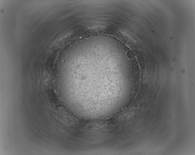 X0000074310917200609011508