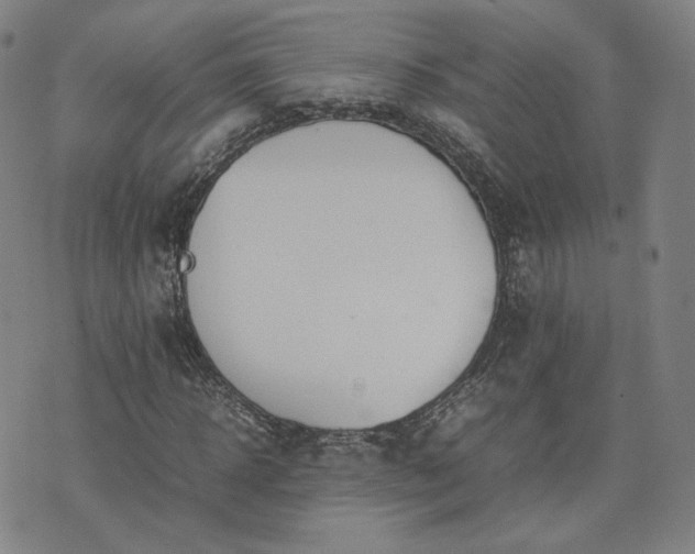 X0000074310918200609011508