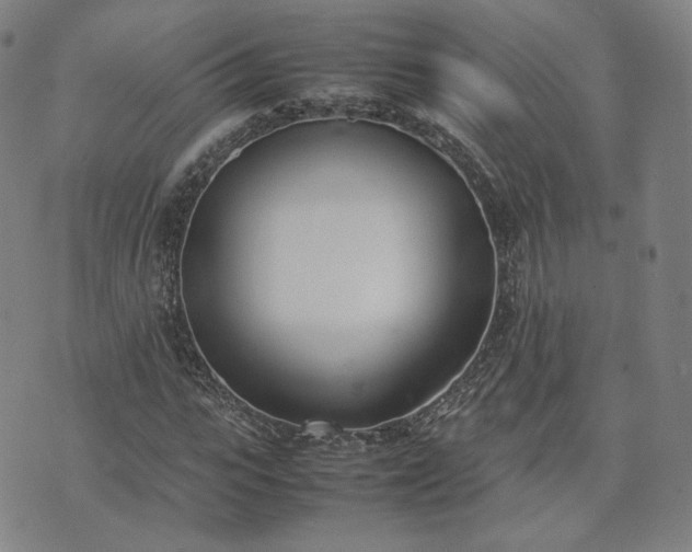 X0000074310919200609011508