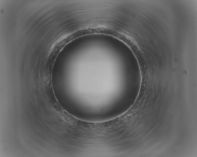 X0000074310920200609011508