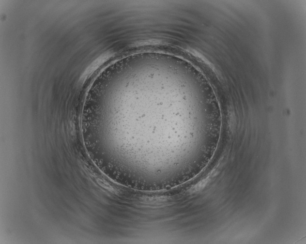 X0000074310921200609011508