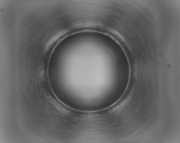 X0000074310922200609011508