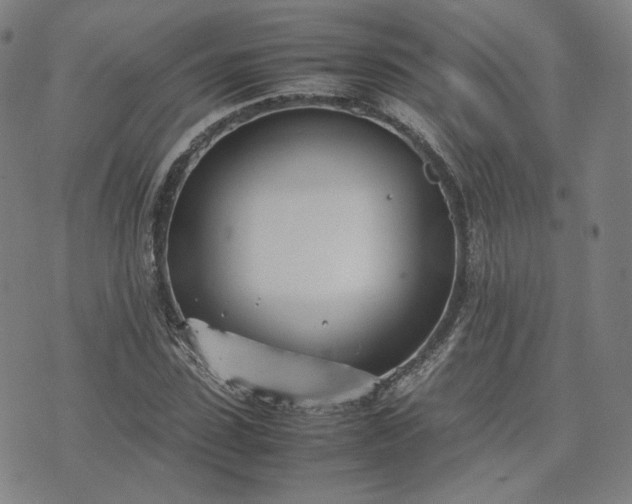 X0000074310923200609011508