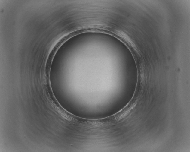 X0000074310924200609011508