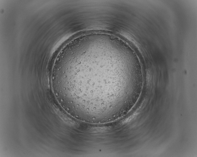 X0000074310925200609011508