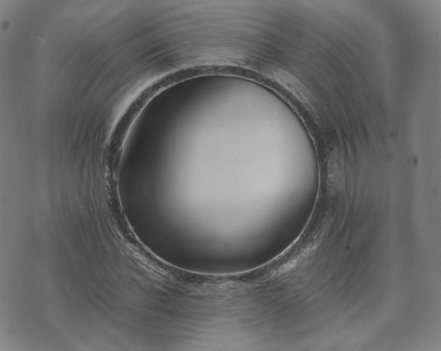 X0000074310926200609011508