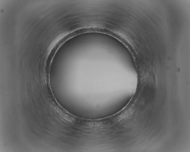 X0000074310927200609011508