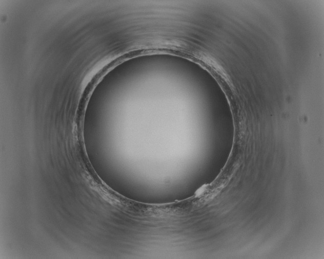 X0000074310928200609011508