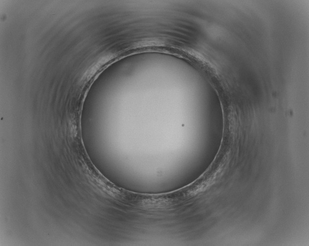 X0000074310929200609011508