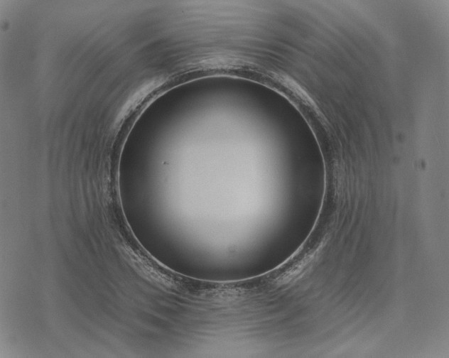 X0000074310930200609011508