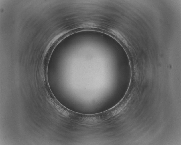 X0000074310931200609011508