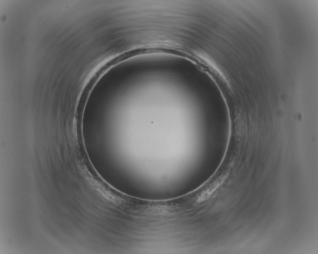 X0000074310932200609011508