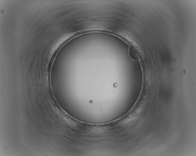 X0000074310933200609011509