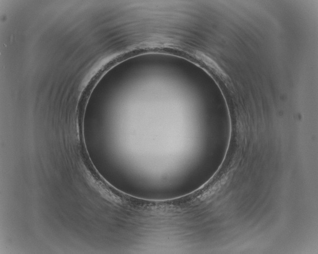 X0000074310934200609011509