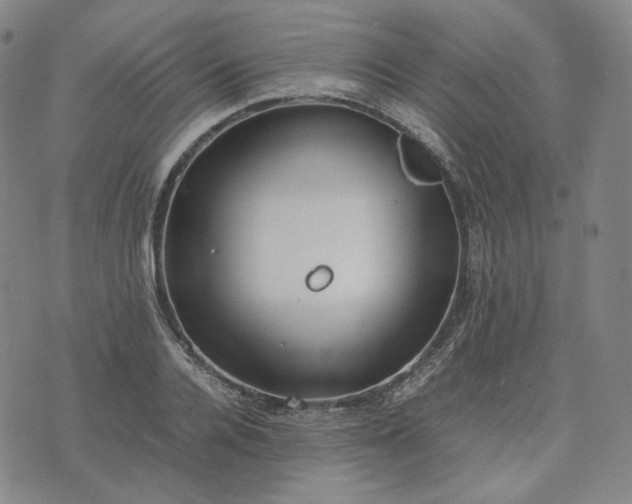 X0000074310936200609011509