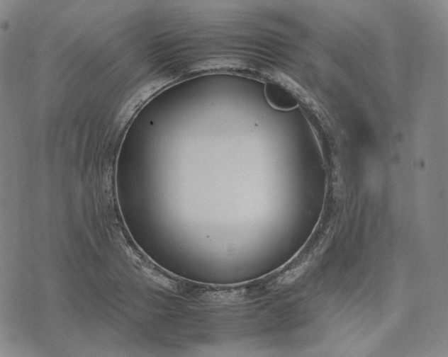 X0000074310937200609011509