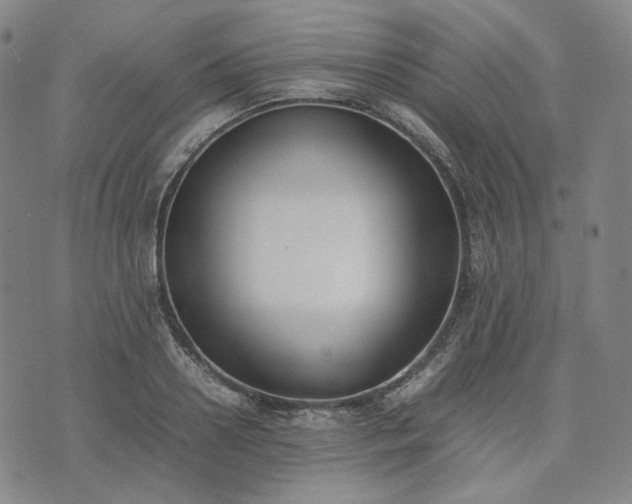 X0000074310938200609011509