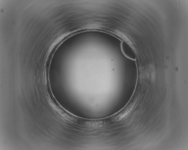 X0000074310939200609011509