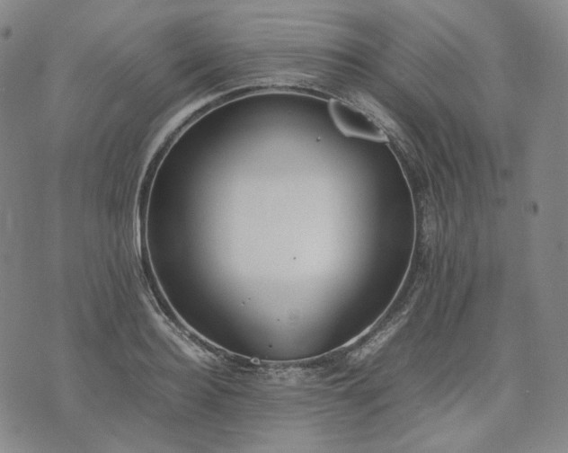 X0000074310940200609011509