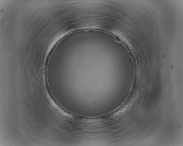 X0000074310941200609011509