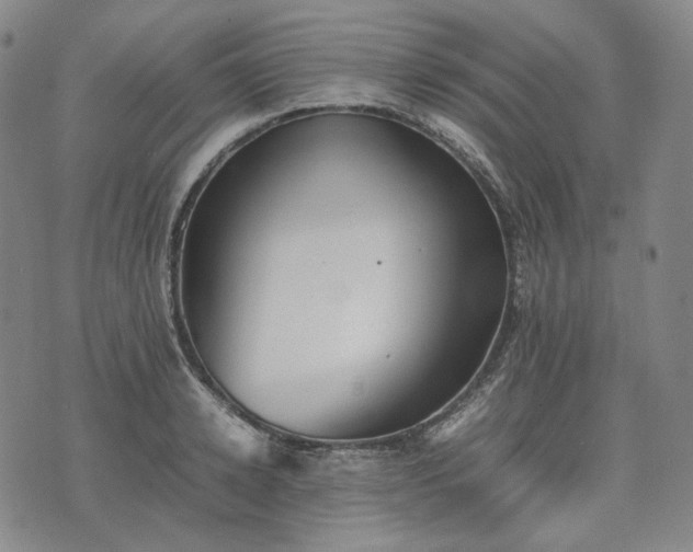 X0000074310942200609011509