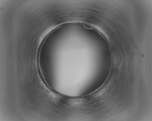 X0000074310943200609011509