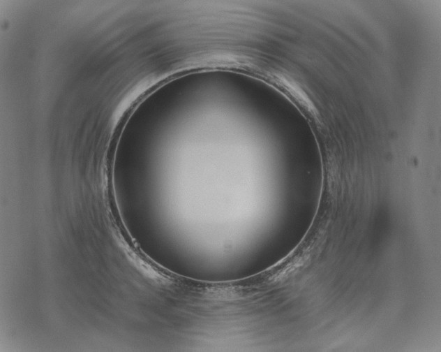 X0000074310944200609011509