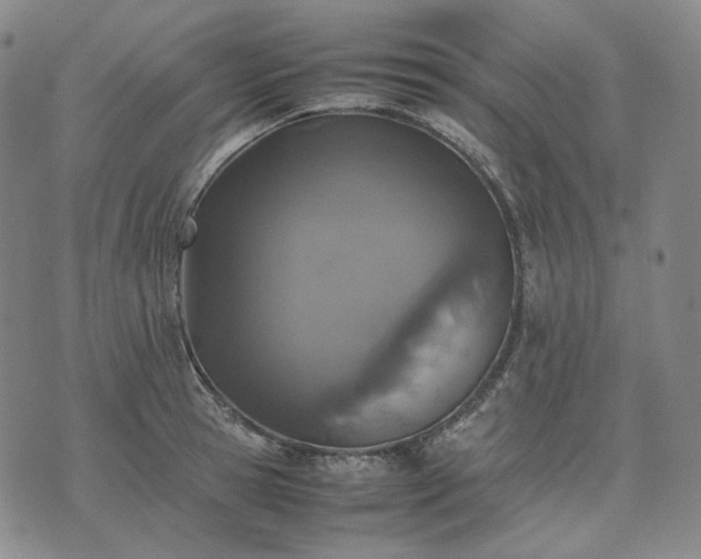 X0000074310945200609011509