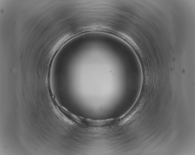 X0000074310946200609011509