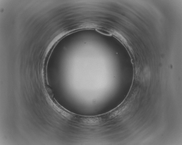 X0000074310947200609011509