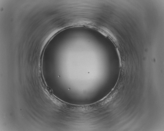 X0000074310948200609011509