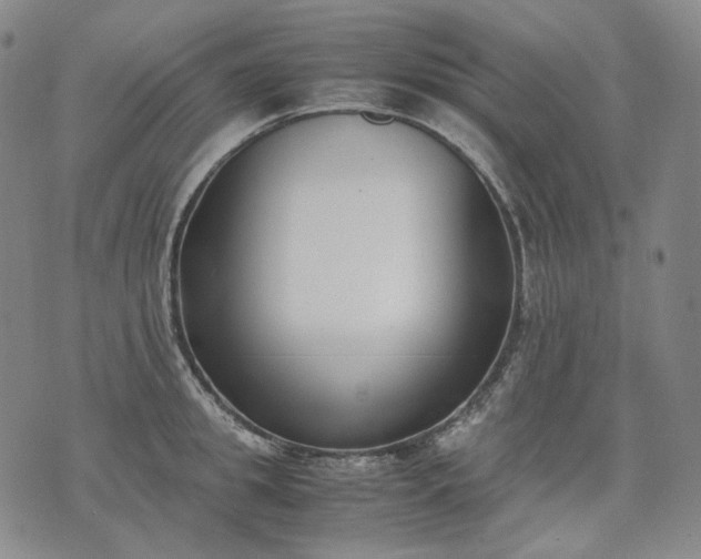 X0000074310949200609011509