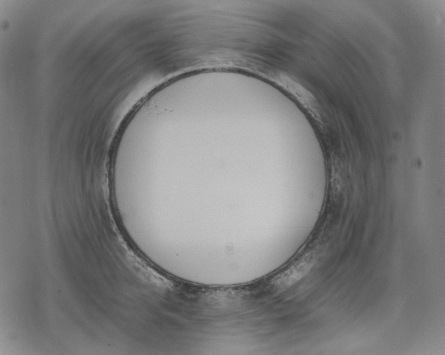 X0000074310950200609011509