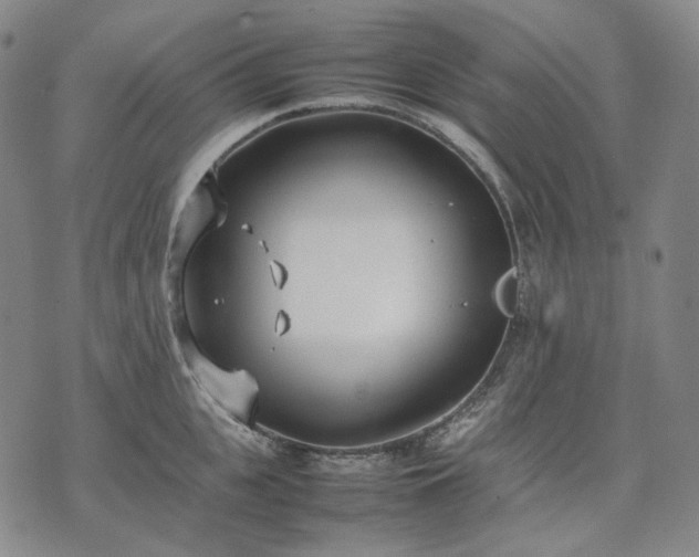 X0000074310951200609011509