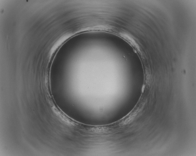 X0000074310952200609011509