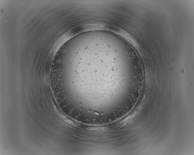 X0000074310953200609011509