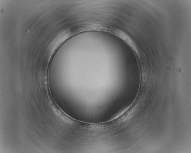 X0000074310954200609011509