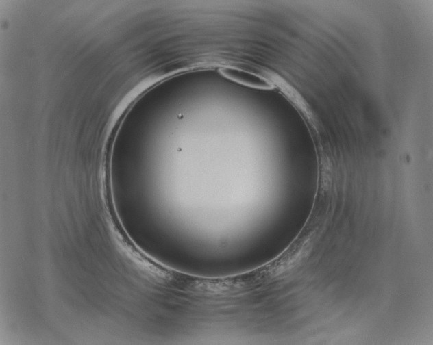 X0000074310955200609011509