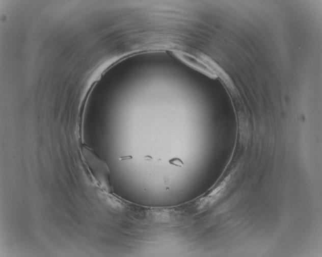 X0000074310956200609011509