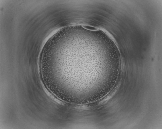 X0000074310957200609011509