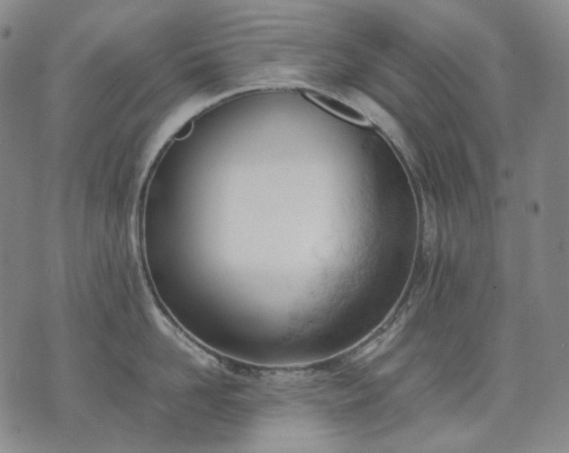 X0000074310958200609011509