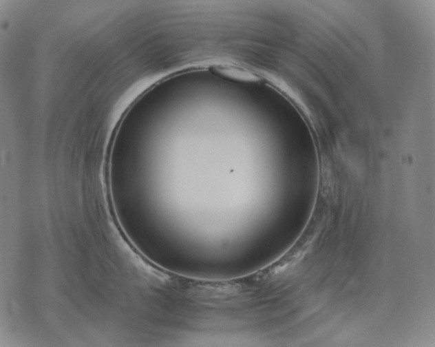 X0000074310959200609011509