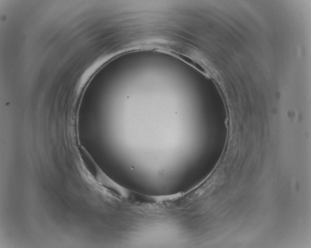 X0000074310960200609011509