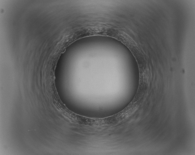 X0000074310961200609011508