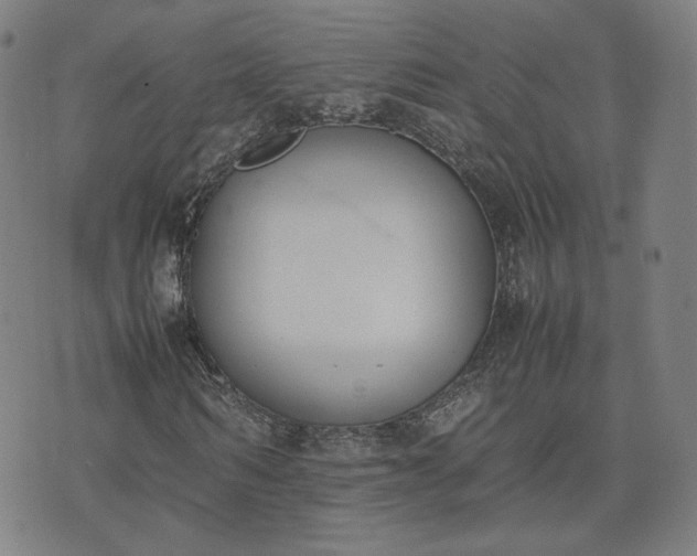 X0000074310962200609011508