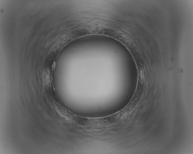 X0000074310963200609011508