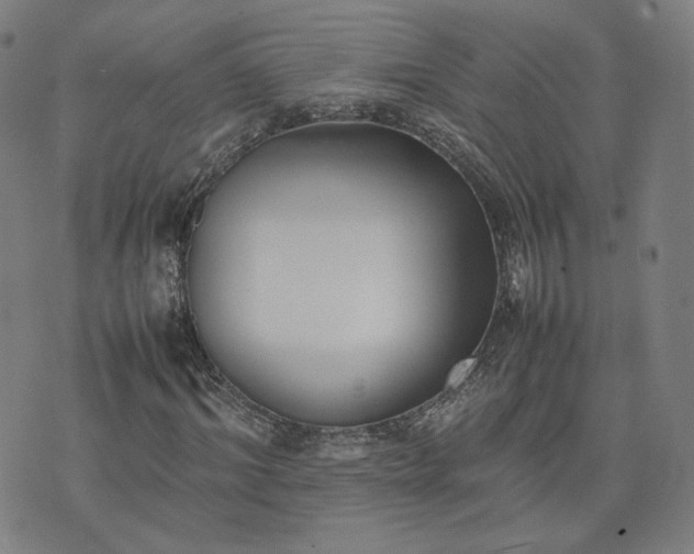 X0000074310964200609011508