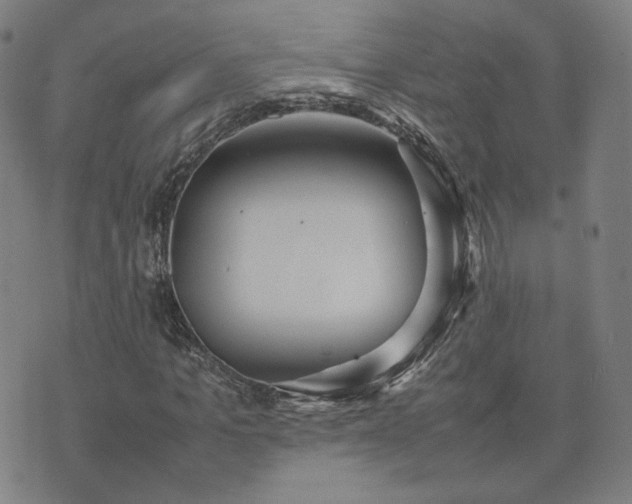 X0000074310965200609011508