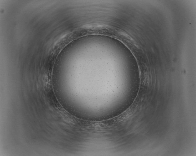 X0000074310966200609011508